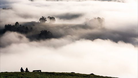 Balingup Heights Hilltop Forest Cottages - Local Tourism 9