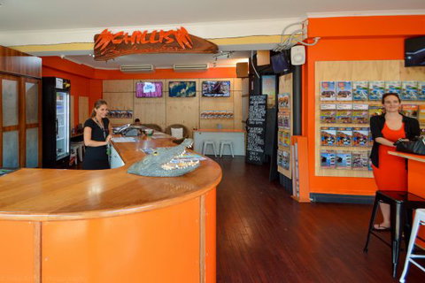 Chillis Backpackers - Accommodation Australia 7