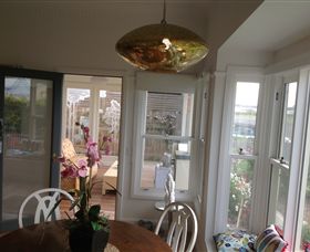 Pelicans - Local Tourism 6