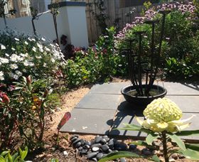 Pelicans - Local Tourism 8