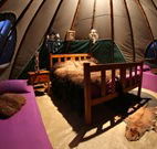Aranyani Bison Adventure Tourist Park - Accommodation Australia