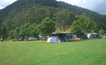 Knorrit Forest NSW Local Tourism