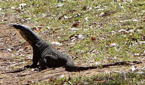 Cutters Camp Campground - Local Tourism 1