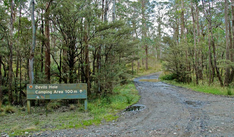 Barrington Tops NSW Accommodation Australia