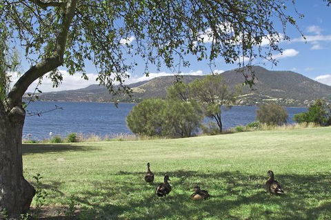 Riverfront Motel & Villas - Accommodation Australia 0