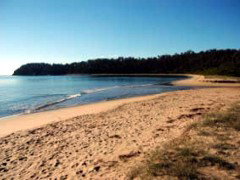 Seahorse Inn Hotel - Accommodation Australia 4