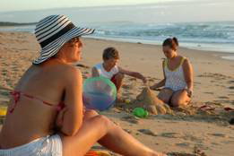 Seashells Beachfront Resort - Local Tourism 4