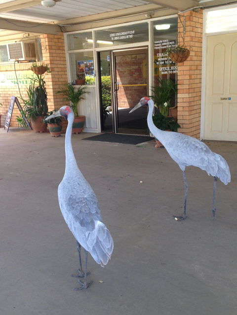 Jumbuck Motel Longreach - Accommodation Australia 2