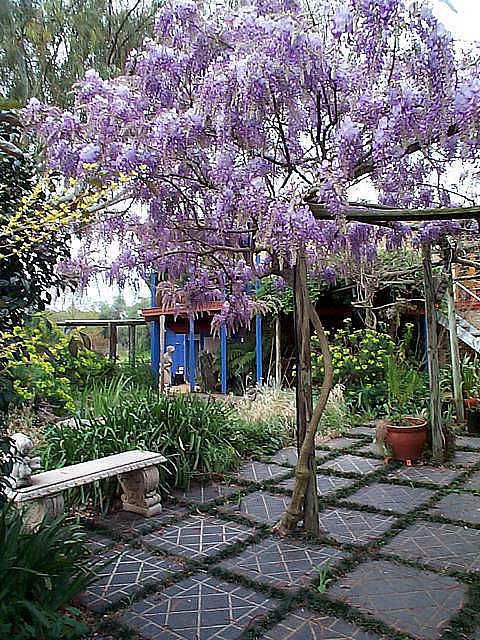 The Retreat At Froog Moore Park - Local Tourism 2
