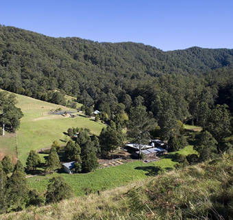 Nirvana Spiritual Retreat - Local Tourism 4