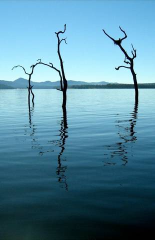 Tinaroo Lake Resort - Holiday Apartments - Accommodation Australia 11