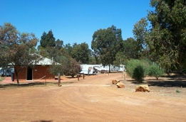 Toodyay Caravan Park - Avon Banks - Local Tourism 0