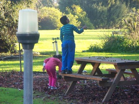 Toora Lodge Motel - Local Tourism 2