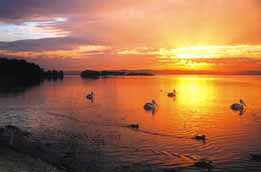 Two Shores Holiday Village - Local Tourism 4