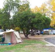 Wedderburn Pioneer Caravan Park - Local Tourism