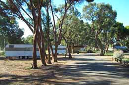 Wycheproof Caravan Park - Local Tourism 0