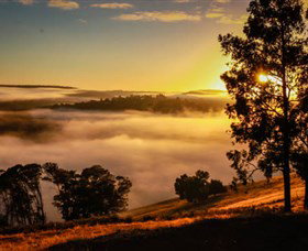 Balingup Heights Hilltop Forest Cottages - Local Tourism 1