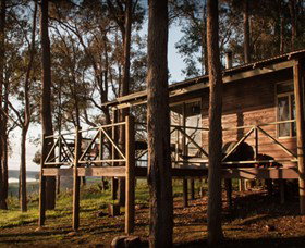 Balingup Heights Hilltop Forest Cottages - Local Tourism 2