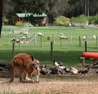 Diamond Forest Cottages and Farm Stay - Australia Shopping