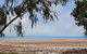 Beachside Tropical Retreat - thumb 6