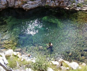 Lorella Springs Wilderness Park - Local Tourism 4