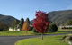 Talbingo Country Club - thumb 0