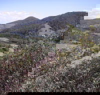 Blackbird Flat Camping Ground - Accommodation Australia