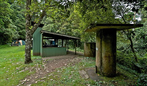 Forest Tops Campground - Accommodation Australia 1