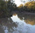 Four Mile Camping Reserve - Accommodation Australia