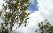 Glen Villa Resort And Tourist Park Casino - Accommodation Australia 0