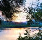 Tweed Coast Holiday Parks Hastings Point - Local Tourism