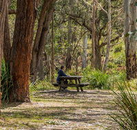 Koreelah Creek campground - Accommodation Australia