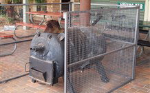 Lightning Ridge Outback Resort And Caravan Park - Accommodation Australia 7