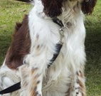 Merimbula Lake Holiday Park