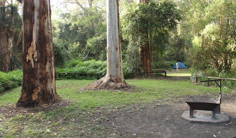 Mill Creek Campground - Local Tourism 2