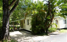 Mt Warning Rainforest Park - Local Tourism 1