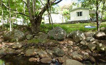 Mt Warning Rainforest Park - Local Tourism 0