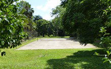 Mt Warning Rainforest Park - Local Tourism 3