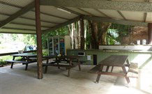Mt Warning Rainforest Park - Local Tourism 4