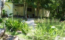 Mt Warning Rainforest Park - Local Tourism 5
