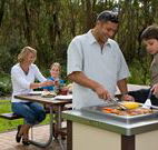 Port Stephens Treescape - Accommodation Australia
