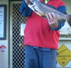 Rainbow Pines Tourist Caravan Park - Accommodation Australia