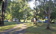The Channon Village Campground - Accommodation Australia 0