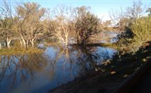 Warrawong On The Darling - Accommodation Australia 0