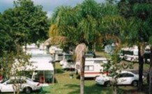 Woombah Woods Caravan Park - Local Tourism 1