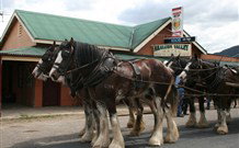Araluen Valley Hotel - Araluen - Australia Shopping 0