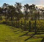 H Boutique Hotel - Pokolbin - Accommodation Australia