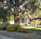 Hamilton Hume Motor Inn - Yass - Accommodation Australia