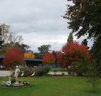 Holbrook Settlers Motel - Holbrook - Accommodation Australia