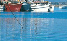 Iluka Motel - Iluka - Local Tourism 2